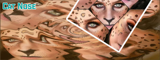 Cat nose makeup